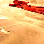das Lied des Seemanns (2)